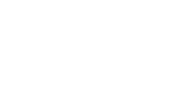 Charity Institute Ireland logo 250 x 150